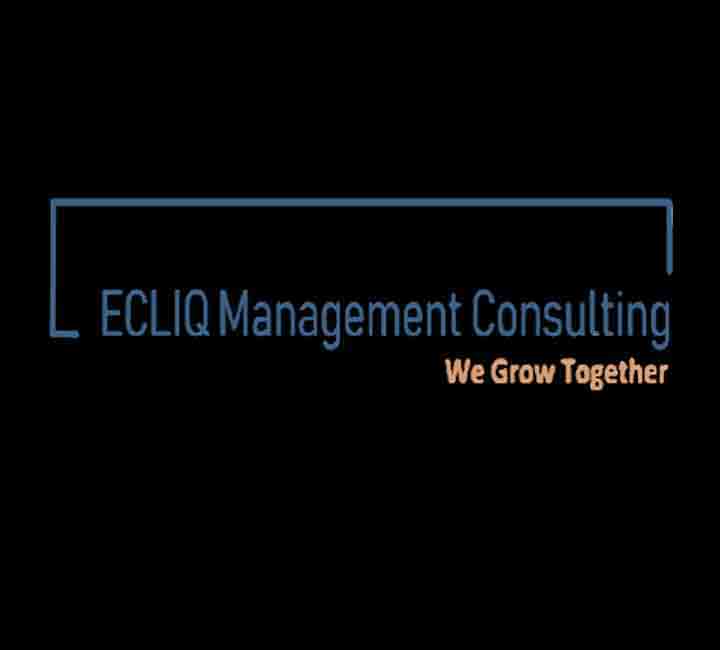 ECLIQ Management Consulting